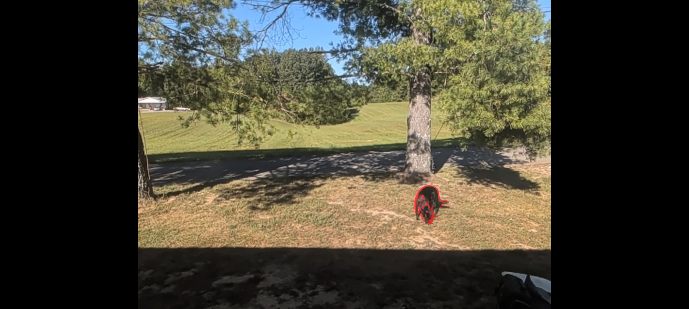 Motion Augmentat-inator tracking an animal moving across a yard, outlined in red